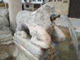 Fuente de los Leones. León del sur