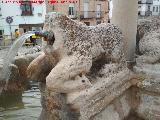 Fuente de los Leones. León del sur
