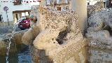 Fuente de los Leones. León del sur