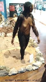 Australopithecus afarensis. Con las huellas de Laetoli. Paleomágina - Bedmar