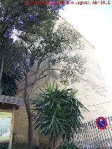 Torre del Agua. 