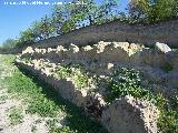 Edificio romano de La Pileta. Muros