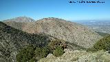 Monte Carluca. Desde el Cordel Caño del Aguadero