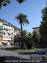 Glorieta Doña Lola Torres. 