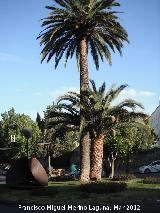 Glorieta Doña Lola Torres. 