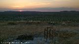 Ocaso. Aldea Torreálcázar - Torredonjimeno