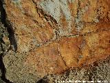 Pinturas rupestres de la Peña del Gorrión VII. Pinturas rupestres