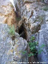 Pinturas rupestres de la Peña del Gorrión V. Cueva