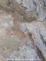 Pinturas rupestres de la Peña del Gorrión V. Puntos