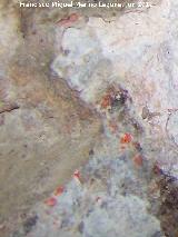 Pinturas rupestres de la Peña del Gorrión V. Puntos