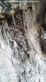 Pinturas rupestres de la Pe�a del Gorri�n V. 