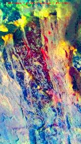 Pinturas rupestres de la Pe�a del Gorri�n V. Tratada con Dstretch