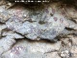 Pinturas rupestres de la Pe�a del Gorri�n IV. 