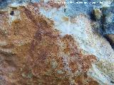 Pinturas rupestres de la Peña del Gorrión III. Zooformo
