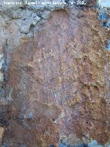 Pinturas rupestres de la Peña del Gorrión III. Figura reticulada