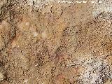 Pinturas rupestres de la Peña del Gorrión VIII. Restos