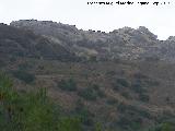 Cerro de la Vicaría. Vertiente sur