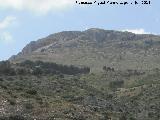 Cerro de la Vicaría. Vertiente norte