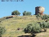 Castillo de La Malena. Muralla y Torreón