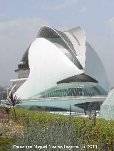 Ciudad de las Artes y las Ciencias. Palacio de las Artes Reina Sofía. 