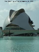 Ciudad de las Artes y las Ciencias. Palacio de las Artes Reina Sofía. 
