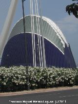 Ciudad de las Artes y las Ciencias. gora. 