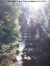 Valparaíso. Escaleras