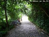 Molino del Batán. Camino del molino