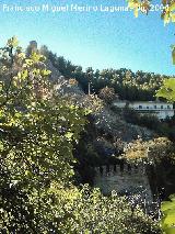Cuadros. Torreón, Santuario y Molino