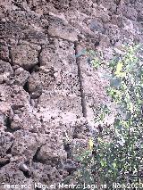 Castillo de Bélmez. Saetera de la Torre del Homenaje desde el exterior
