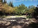 Parque Jardín Botánico. 