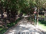 Parque Jardín Botánico. 