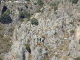 Barranco del Gargantón. Peñas