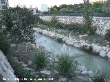 Río Chillar. A su paso por Nerja