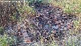 Arado. Arado de cadenas. Ladera de enfrente de la Central Hidroel�ctrica de R�o Fr�o - Los Villares