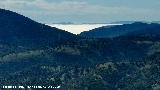 Niebla. Desde las Lomas de Carboneros - Valdepe�as de Ja�n