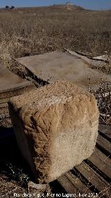 Cástulo. Templo Imperial. Sillar