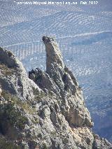 Cerro Salto de la Yegua. Peñón de la vertiente Este