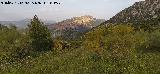 Cerro Salto de la Yegua. Vistas hacia la Cinta del Fraile