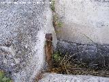 Pilar Viejo del Contadero. Caño