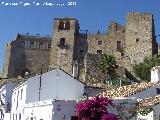 Alcázar de los Condes de Castellar. 
