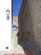 Alcázar de los Condes de Castellar. Al fondo el arco del Antiguo Ayuntamiento
