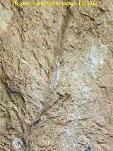 Pinturas rupestres Abrigo Oeste de las Peñas de Castro IV. Barra