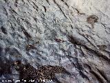 Pinturas rupestres Abrigo Oeste de las Peñas de Castro IV. Suelo gastado