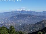 Cerro San Cristbal. Al fondo el Almadn