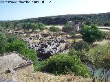 Yacimiento paleolítico Terrazas del Guadalimar. 