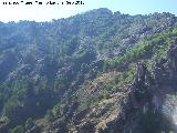 Peña de los Halcones. Desde La Iruela