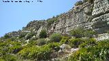 Sierra de Abdalajís. 