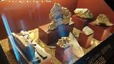 Aldea El Chorro. Fósiles del Mioceno. Centro de Interpretación de la Prehistoria de Ardales