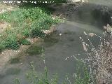 Río Jaén. A su paso por el Puente Jontoya